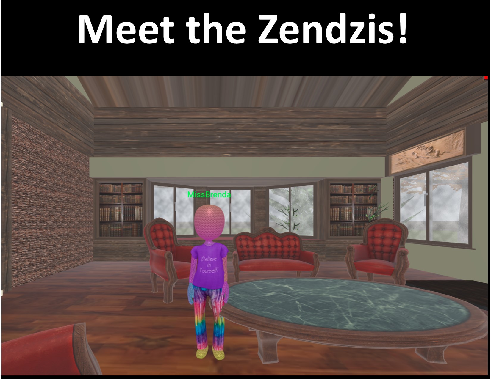 Meet the Zendzis